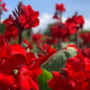 Meet your Posher, Farah